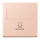 Jung LC590CARD234 Hotelcard-Schalter  Hotelcard Serie LS l’ocre rouge clair