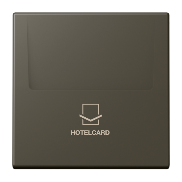 Jung LC590CARD241 Hotelcard-Schalter  Hotelcard Serie LS ombre naturelle 31