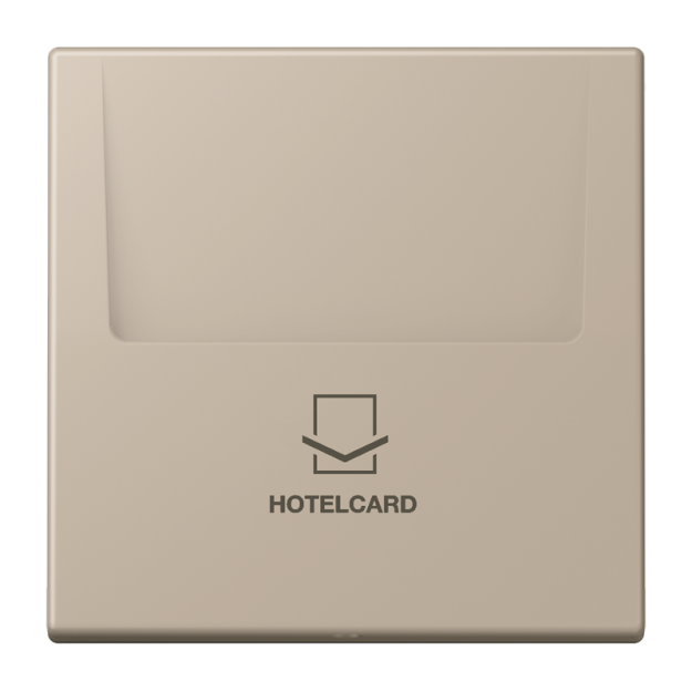 Jung LC590CARD243 Hotelcard-Schalter  Hotelcard Serie LS ombre naturelle claire