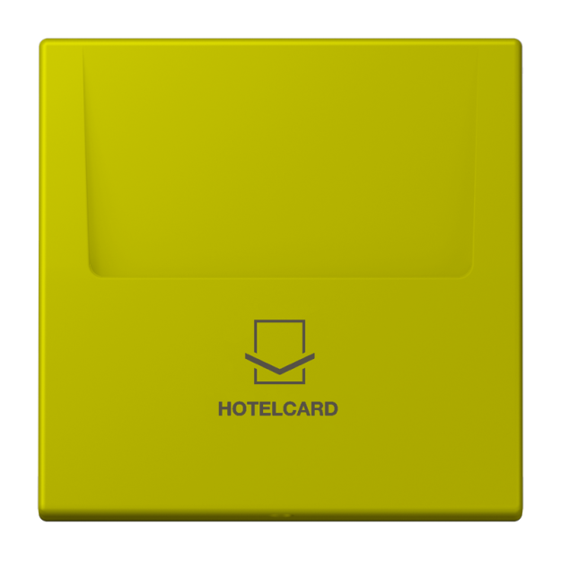 Jung LC590CARD249 Hotelcard-Schalter  Hotelcard Serie LS vert olive vif