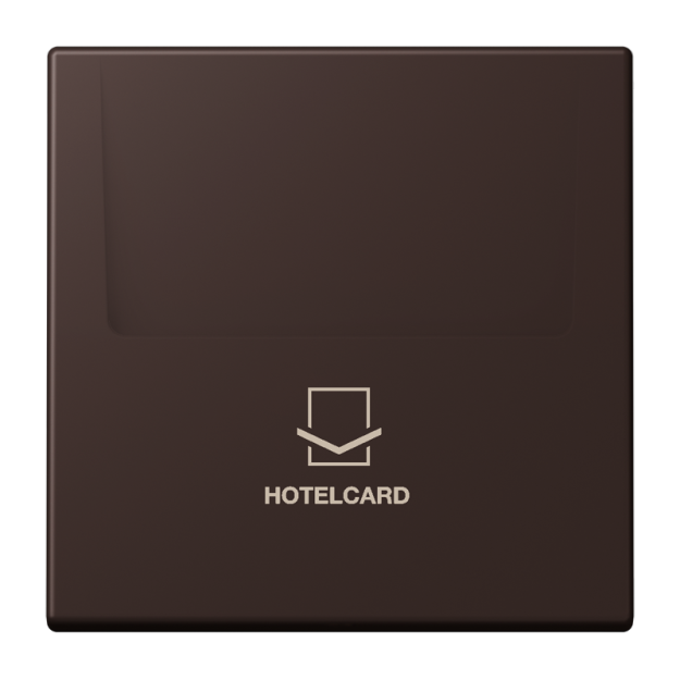 Jung LC590CARD252 Hotelcard-Schalter  Hotelcard Serie LS terre d‘ombre brûlée 59