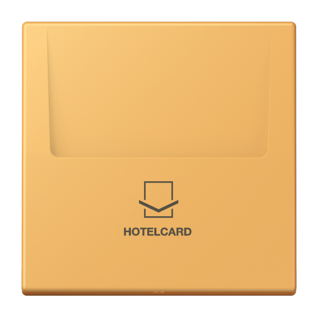 Jung LC590CARD254 Hotelcard-Schalter  Hotelcard Serie LS ocre jaune clair