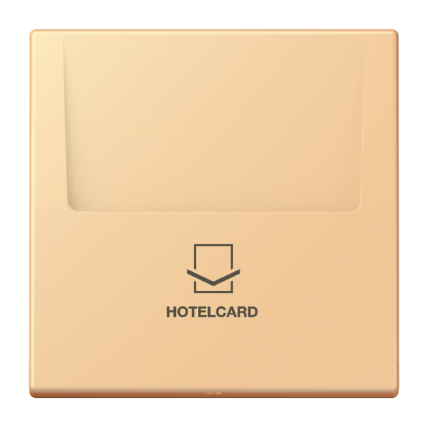 Jung LC590CARD258 Hotelcard-Schalter  Hotelcard Serie LS terre sienne claire 59