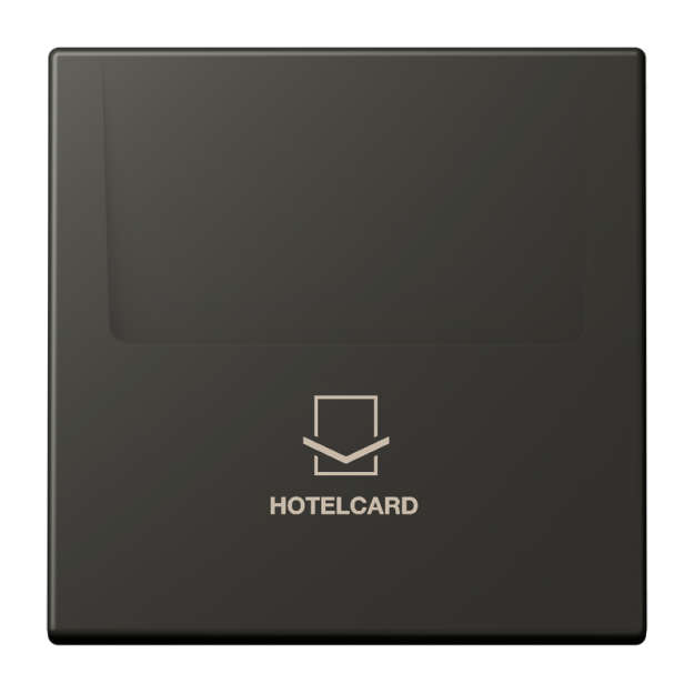 Jung LC590CARD259 Hotelcard-Schalter  Hotelcard Serie LS ombre naturelle 59