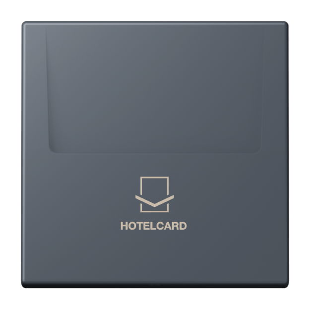 Jung LC590CARD262 Hotelcard-Schalter  Hotelcard Serie LS gris foncé 59