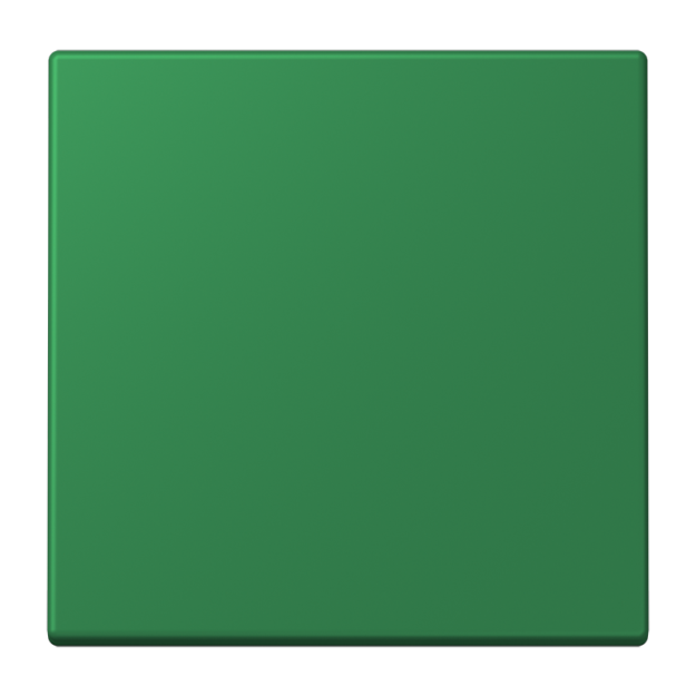 Jung NRSLC0834NT219 Notrufsystem Netzteil Serie LS vert foncé