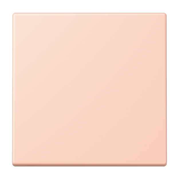Jung NRSLC0834NT234 Notrufsystem Netzteil Serie LS l’ocre rouge clair