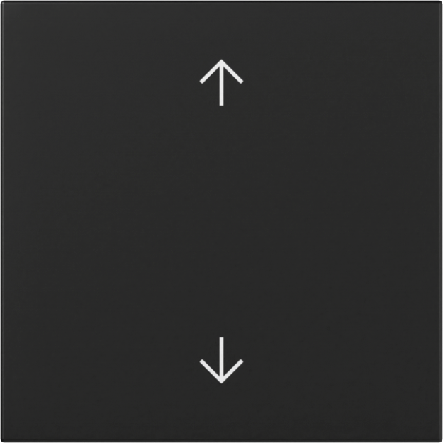 Gira 3616005 Wippe Pfeile System 55 Schwarz matt