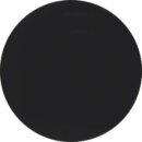 Berker MAN0306524 Taste 1fach R.Classic schwarz matt...