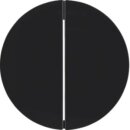 Berker MAN0306624 Taste 2fach R.Classic schwarz matt...