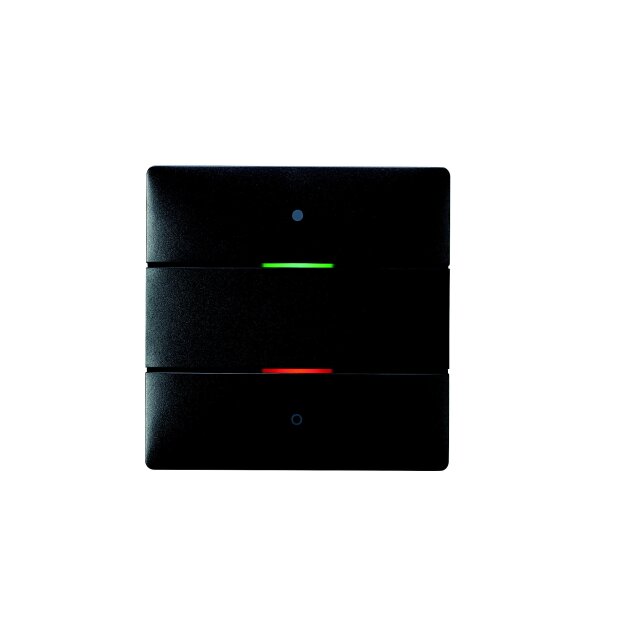 Theben 4801412 Tastsensor LUXORliving iON2 BK Schwarz