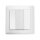 ESYLUX EP10431609 2-fach-Taster als zertifiziertes DALI-2-Eingabegerät PUSH BUTTON x2 DALI-2 WH Weiß