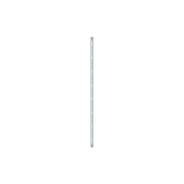 Striebel 2CPX039210R9999 ED10 EDF-Profilschiene 4RE (600mm) Vertikal, lose Lieferung