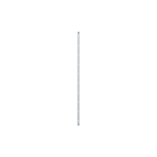 Striebel 2CPX039211R9999 ED11 EDF-Profilschiene 5RE (750mm) Vertikal, lose Lieferung