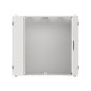Striebel 2CPX010083R9999 TL406G TwinLine N 55 Wandschrank...