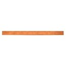 Striebel 2CPX039933R9999 VS448 N-Schiene zu KS876...