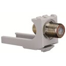 Striebel 2CPX039246R9999 ZE316 KOAX Modul F Buchse...