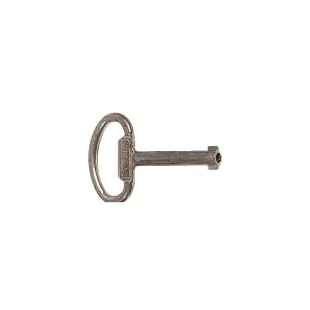 Striebel 2CPX060661R9999 ZH161 Schlüssel 5mm Doppelbart Zuberhör Verschlusssysteme