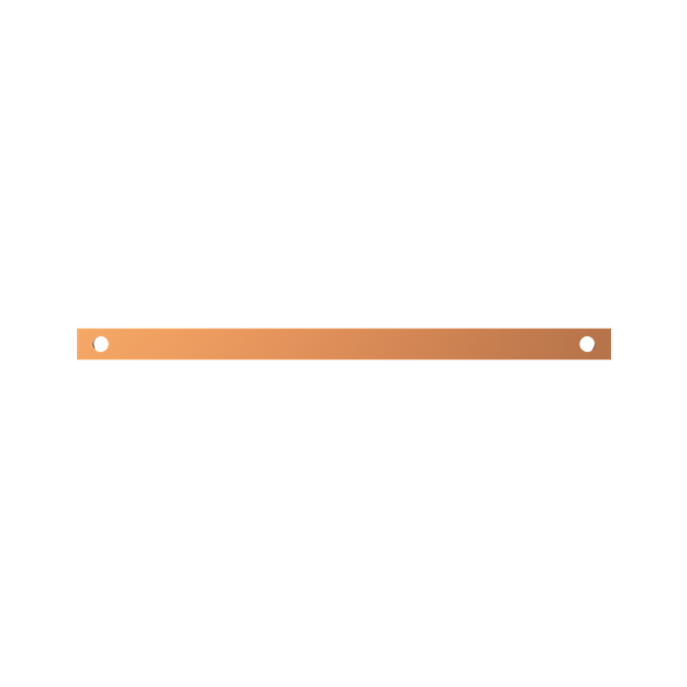 Striebel 2CPX041954R9999 ZX1092 Cu-Schiene 20x5mm, L:350mm Kupferschiene, lose Lieferung