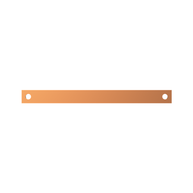 Striebel 2CPX041960R9999 ZX1098 Cu-Schiene 30x5mm, L:350mm Kupferschiene, lose Lieferung
