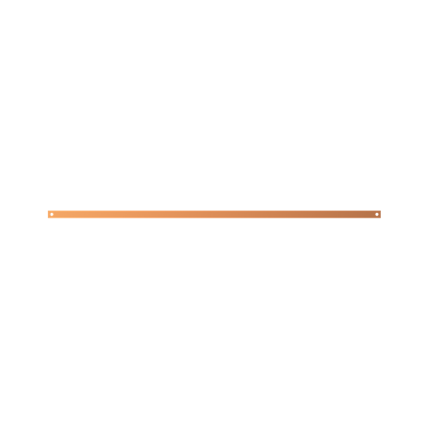 Striebel 2CPX041964R9999 ZX1102 Cu-Schiene 30x5mm, L:1350mm Kupferschiene, lose Lieferung