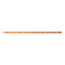 Striebel 2CPX042971R9999 ZX2523 Cu-Schiene 30x10mm,...