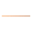 Striebel 2CPX042977R9999 ZX2529 Cu-Schiene 40x10mm,...