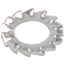 Striebel 2CPX060280R9999 ZX278 Fächerscheibe 6mm...
