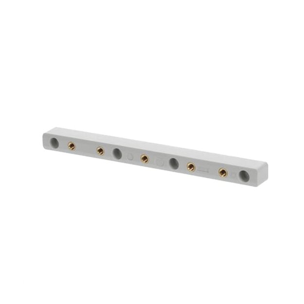 Striebel 2CPX067861R9999 ZX520 Sammelschienenhalter 60/100mm Zubehör CombiLine Innenausbausystem