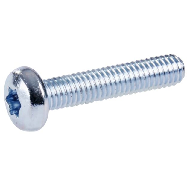 Striebel 2CPX060205R9999 ZX915P10 Flachkopf-Schrauben M6x45 T30 Zubehör CombiLine Innenausbausystem