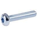 Striebel 2CPX060205R9999 ZX915P10 Flachkopf-Schrauben...