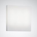 Trilux 5277900 Ersatzwanne für Deca WD3 324PMMA...