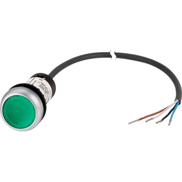 eaton Leuchtdrucktaste C22-DL-G-K10-24-P62