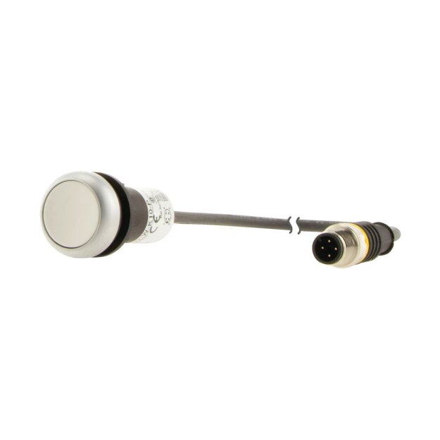 eaton Drucktaste C22-D-W-K10-P1