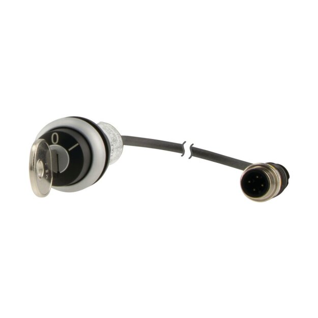eaton Schlüsseltaste C22-WRS-MS1-K10-P1