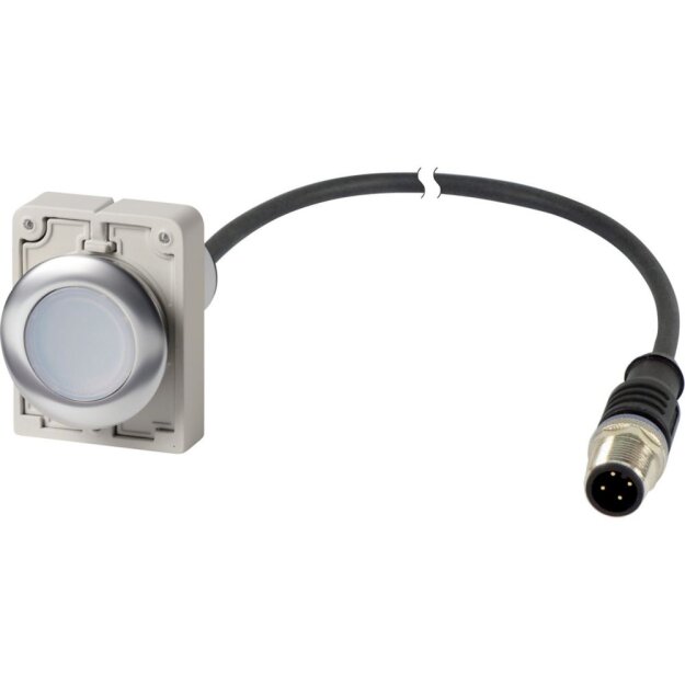 eaton Leuchtdrucktaste C30C-FDL-W-K10-24-P5