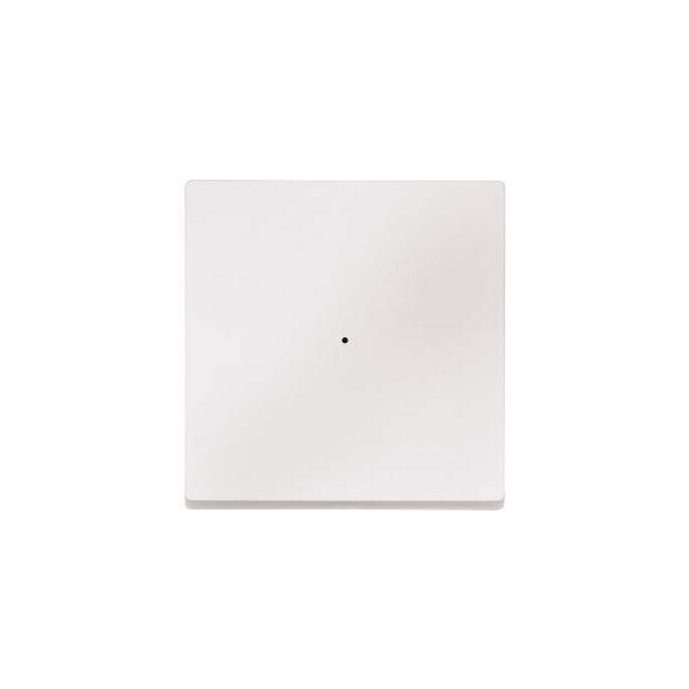 Merten 625119 Wippe für Tastermodul 1-fach Polarweiß System M