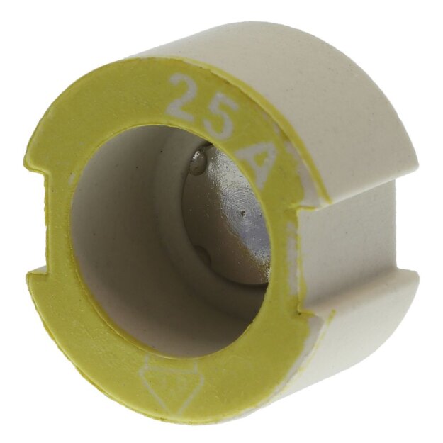 eaton Passeinsatz GAUGE PIECE D2 25A 500V FOR E27