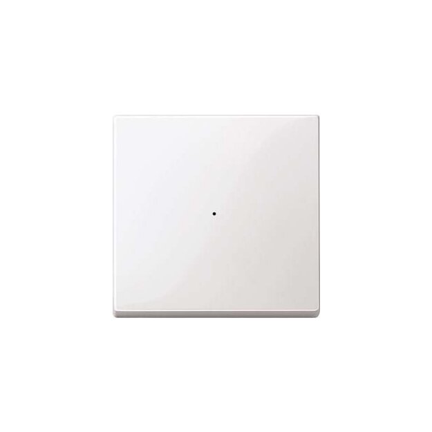 Merten 619119 Wippe für Tastermodul 1-fach Polarweiß glänzend System M