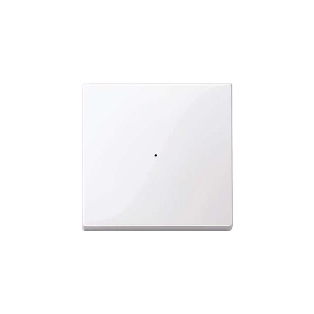 Merten 619125 Wippe für Tastermodul 1-fach Aktivweiß glänzend System M