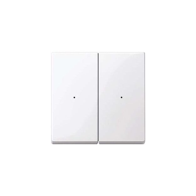 Merten 619225 Wippen für Tastermodul 2-fach Aktivweiß glänzend System M