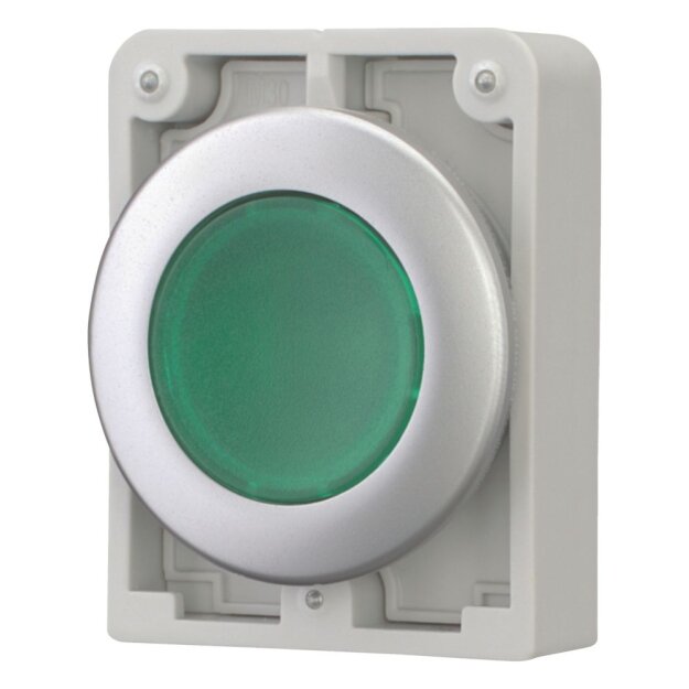 eaton Leuchtdrucktaste M30C-FDL-G