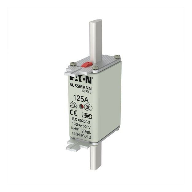 eaton Sicherungseinsatz NH FUSE 125A 500V GG/GL SIZE 01