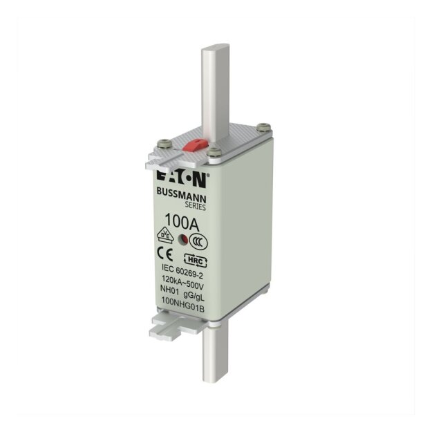 eaton Sicherungseinsatz NH-SICHERUNG 100 A 500 V GG/GL GRÖSSE 01