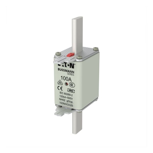 eaton Sicherungseinsatz NH-SICHERUNG 100 A 500 V GG/GL GRÖSSE 02