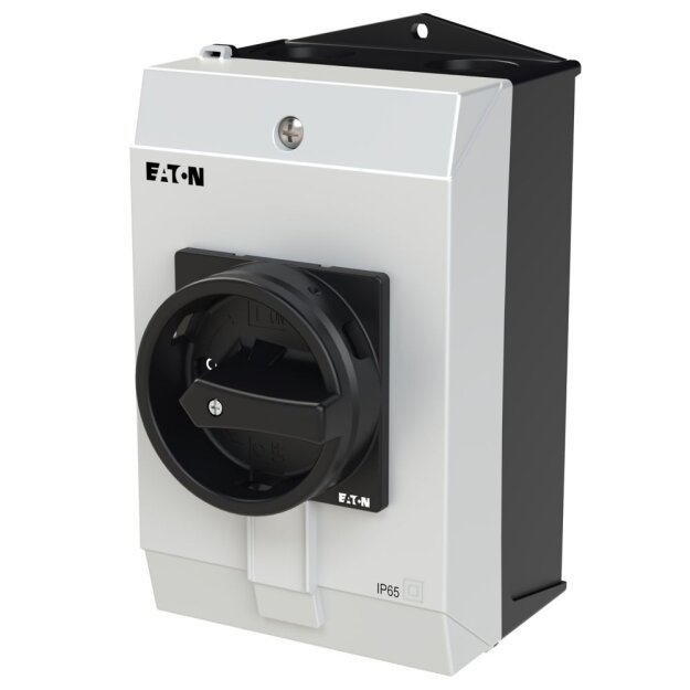 eaton Hauptschalter P1-32/I2/SVB-SW/N