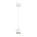 SLV 1008173 LIGHT EYE® 90 Pendelleuchte GU10...