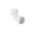 SLV 1008286 PURI 2.0 Tube Wand- und Deckenaufbauleuchte...