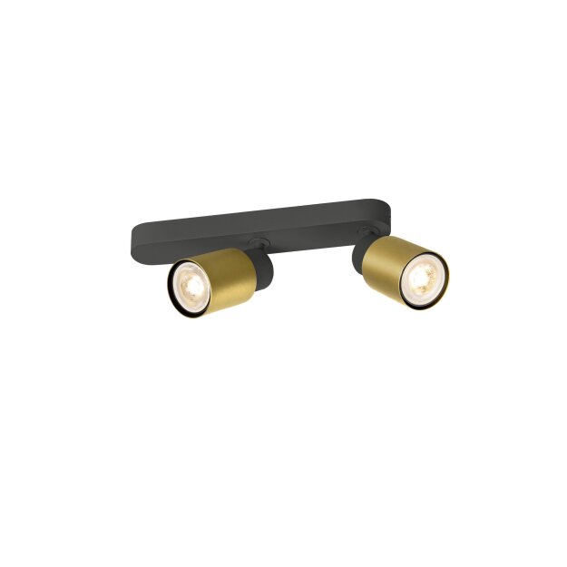 SLV 1008309 PURI 2.0 Tube Wand- und Deckenaufbauleuchte asymmetrisch 2 x max. 6 W GU10 schwarz / gold