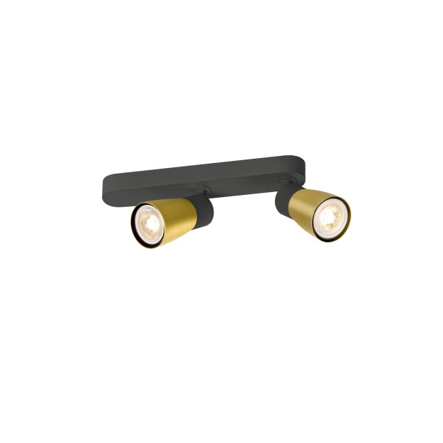 SLV 1008317 PURI 2.0 Dome Wand- und Deckenaufbauleuchte asymmetrisch 2 x max. 6 W GU10 schwarz / gold
